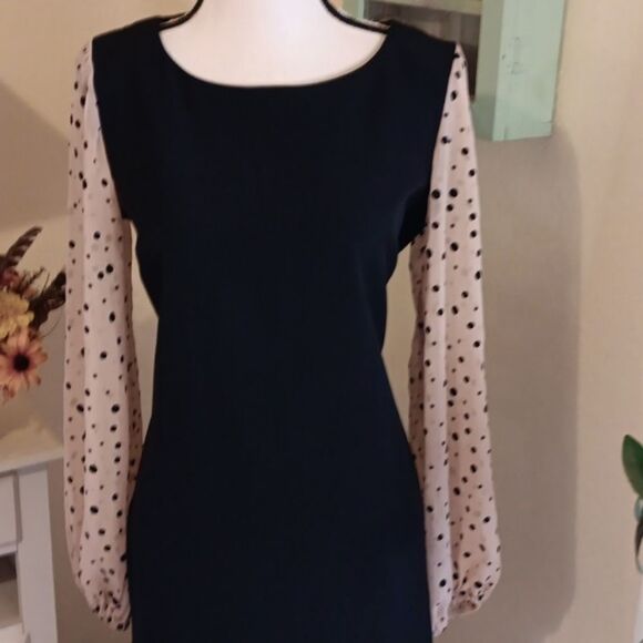 Danny and Nicole LBD With Polka Dot Sleeves. Quiet Luxury - Picture 2 of 10